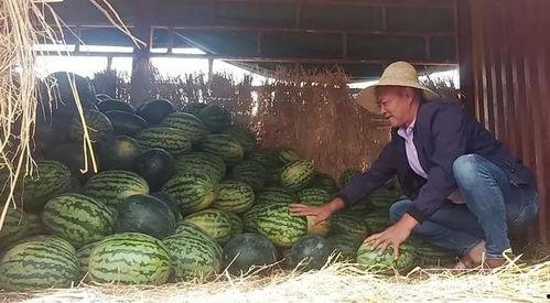 千佛山娱乐团队吃瓜群众,吃瓜群众揭秘幕后故事  第1张