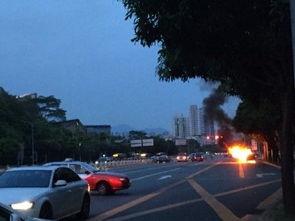 深圳少年宫爆料事件视频,真相与反思 第1张 深圳少年宫爆料事件视频,真相与反思 第1张