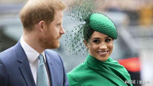 哈利夫妇奥普拉爆料视频,奥普拉揭秘婚姻背后的真实故事  第2张