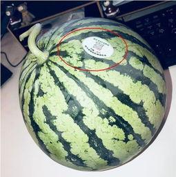 柳州网红吃瓜,揭秘网络红人的幕后故事  第1张