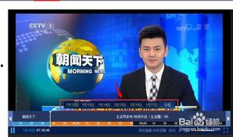 中央卫视媒体爆料视频回放,视频回放背后的真相